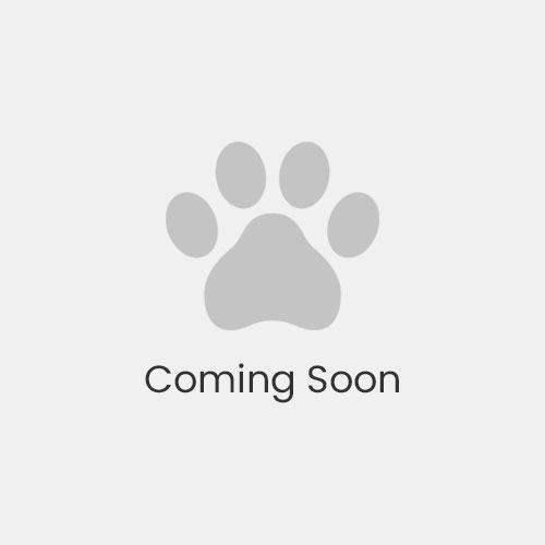 Coming soon placeholder updated